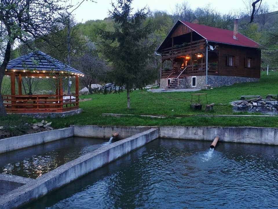 Cabană de vânzare în inima naturii, Valea Inzelului - Râmeț, Alba