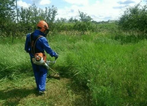 Покос травы. Стрижка газона. Скосим траву. Садовые работы. Дворник.