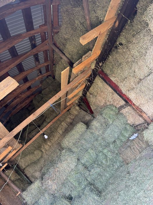 Baloti frunzoși de lucerna mari si grei