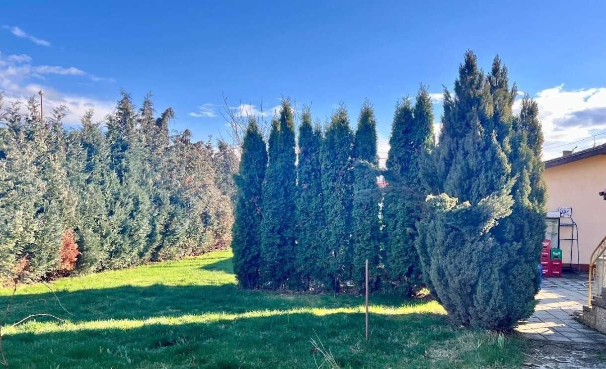 Продава се Къща в Елин Пелин - 251 кв.м за 877 €/кв.м - Снимка #4