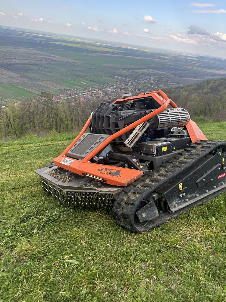 Defrisam Curți,Terenuri, Grădini – Rapid, Ieftin și Fără Bătăi de Cap!