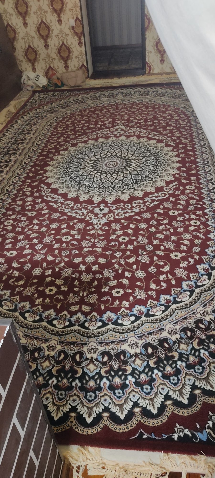 Gilem 5×3 razmeri taza halda