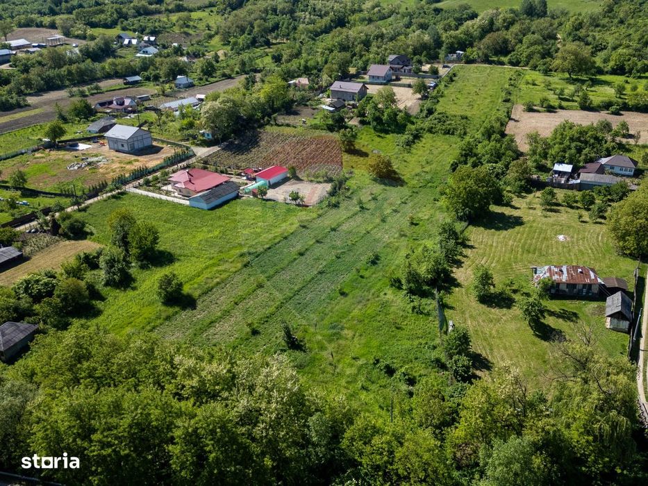 Teren de vanzare -Parava - DRAGUSANI