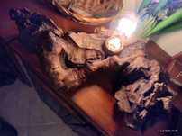 Vand veioaza rustica.
