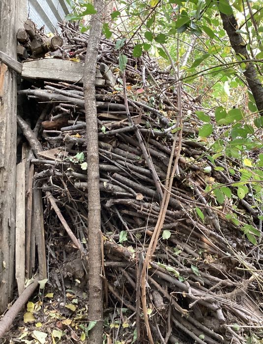 Дрова для топки, полная газель