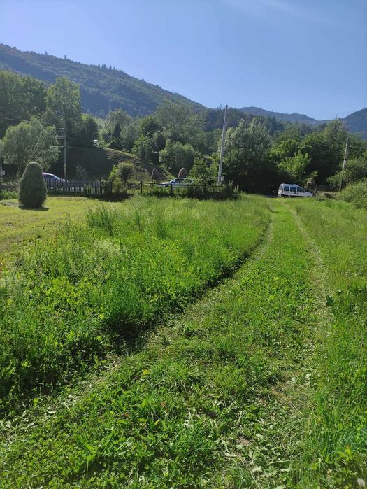 Teren de vanzare, intravilan, 1502 mp, Sat Straja Comuna Tarcau