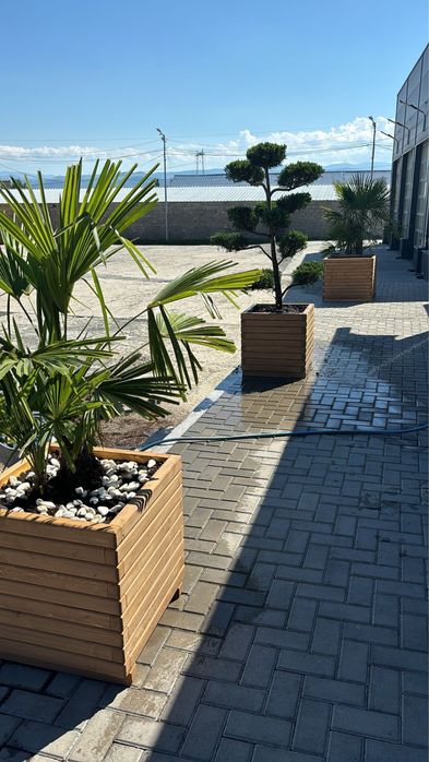 Banca stradala / banca parc / ghivece si jardiniere lemn / plante