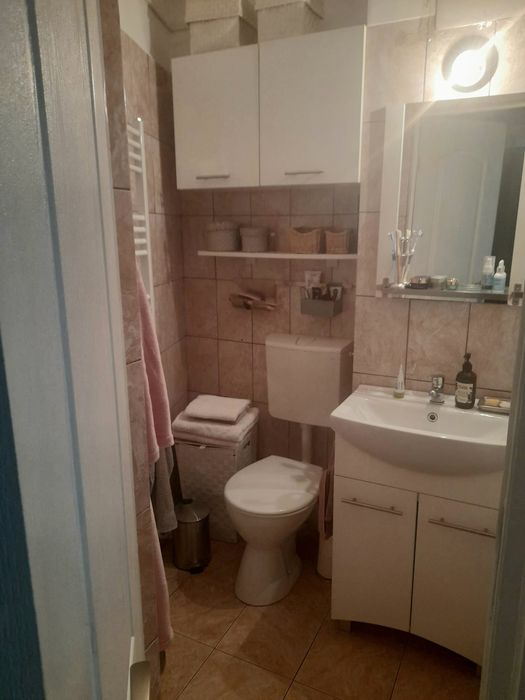 Apartament 1 camera ultracentral Deva de vanzare