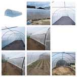 Solarii Legume - Solarii de Gradina - Transport Gratuit