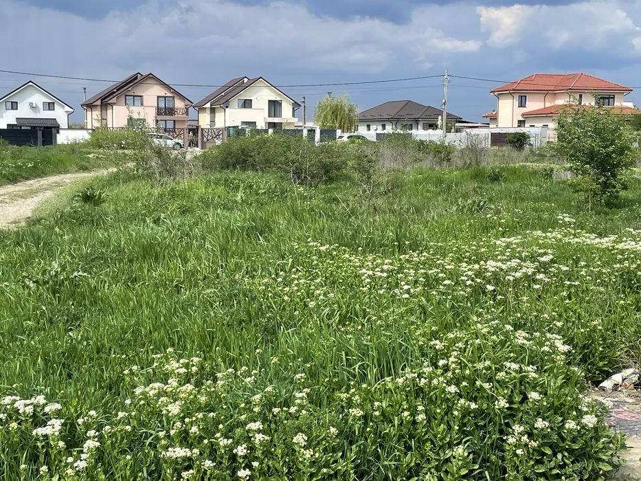Teren de vanzare Slatioara Cartier Argesanu 1000mp