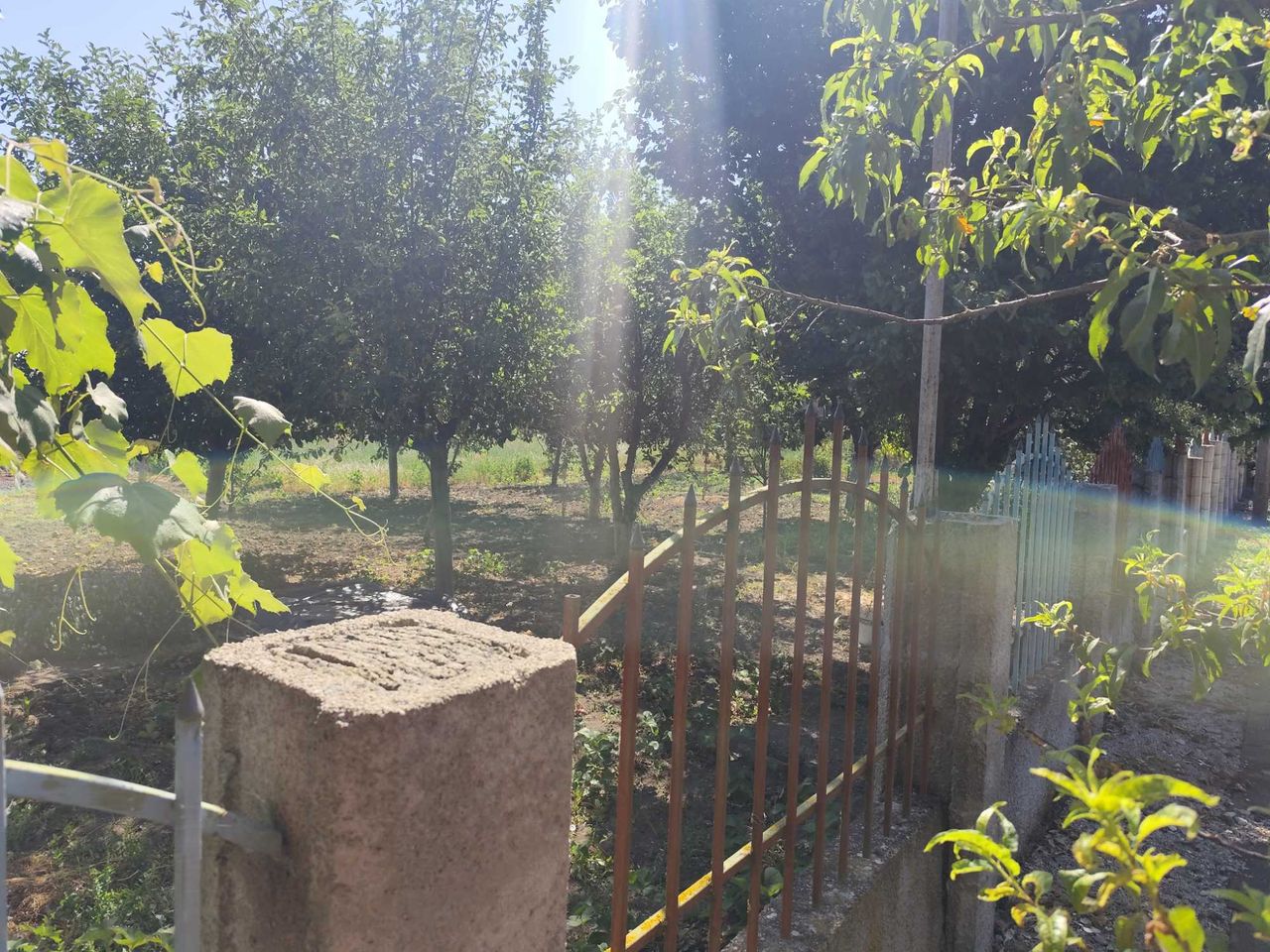 Продава се Къща в с. Методиево, Област Добрич - 75 кв.м за 408 €/кв.м - Снимка #1