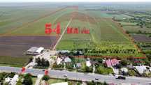 Oportunitate vie 54 ha la DN E85