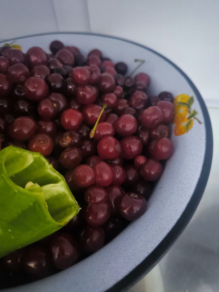 Продам вишню, прямо из сада