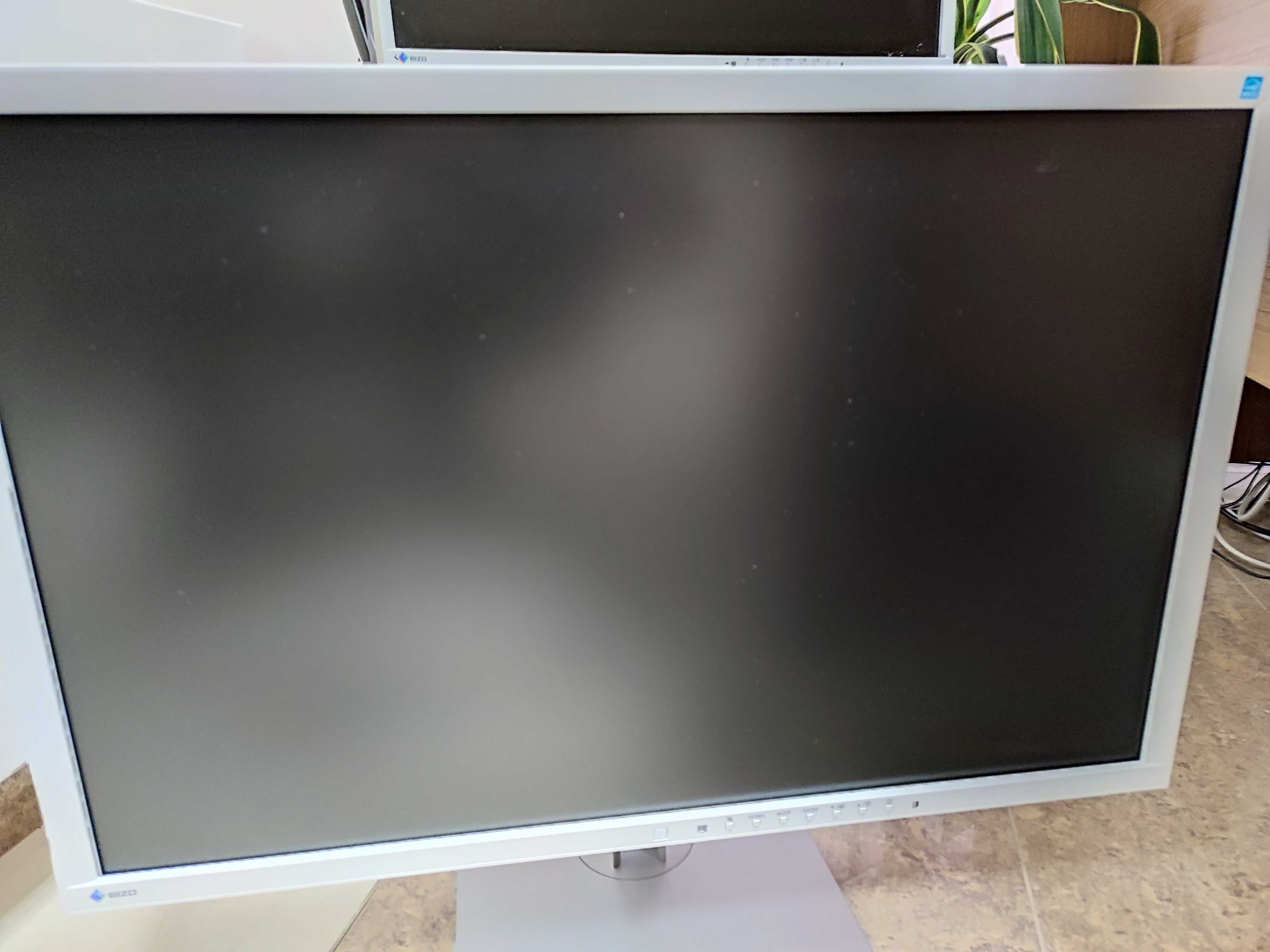 монитор EIZO Flex Scan EV2316W