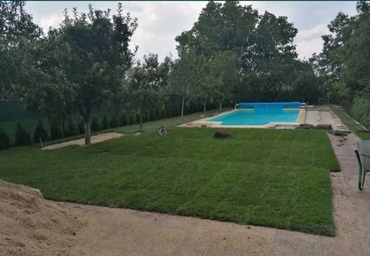 Amenajare Profesională cu Gazon Rulou Tăiat la Zi