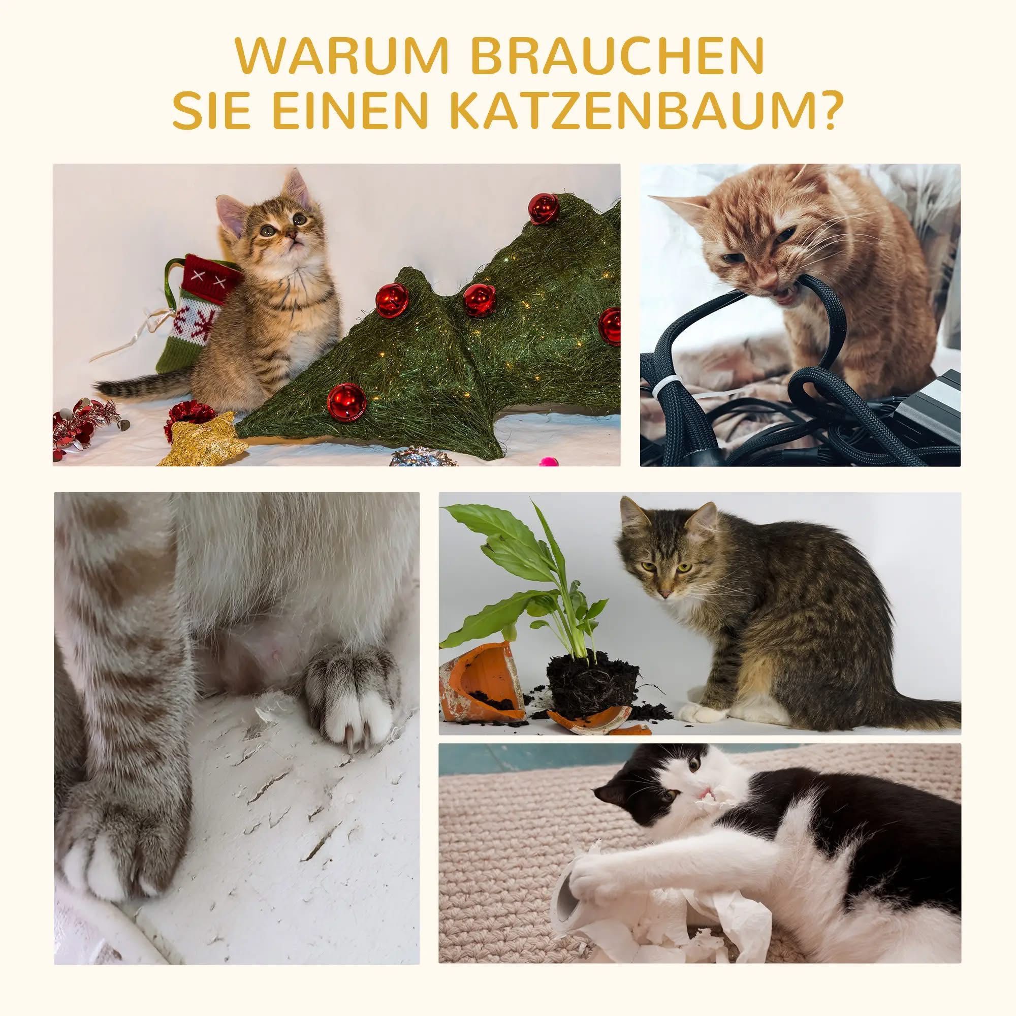 PawHut Дърво за котки с топки за игра