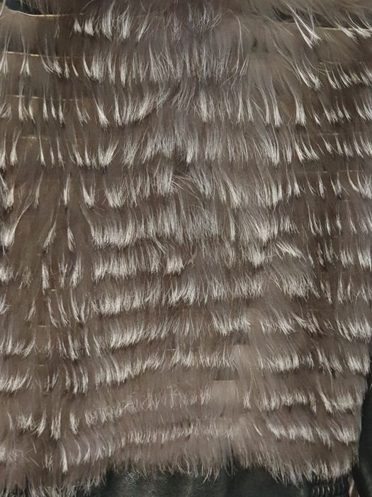 Jachetă Vulpe argintie