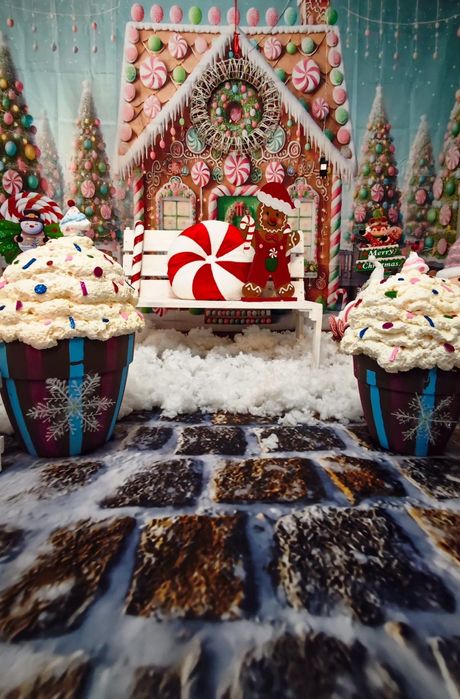 Ședințe Foto Craciun