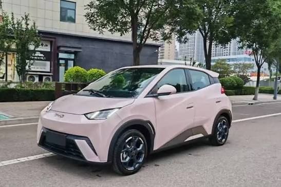 Под Заказ Seagull 2025 Smart Driving Edition 405km Flying Edition Full