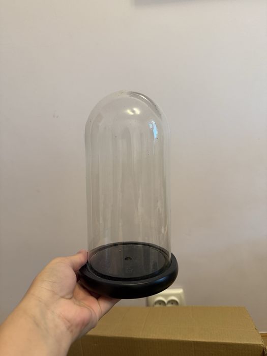 Kit intreg penteu arangamente cu trandafiri criogenati