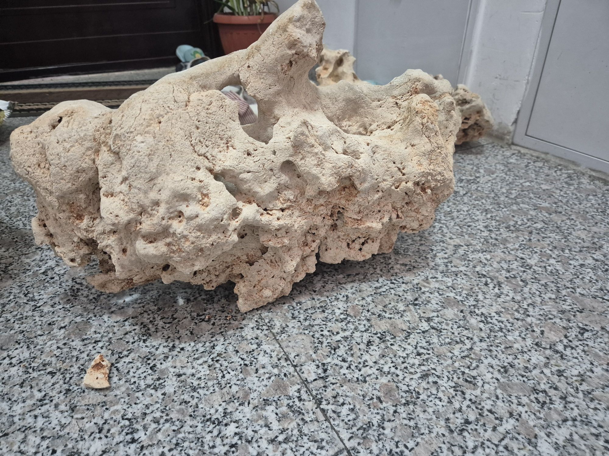 Piatra decorativa acvariu