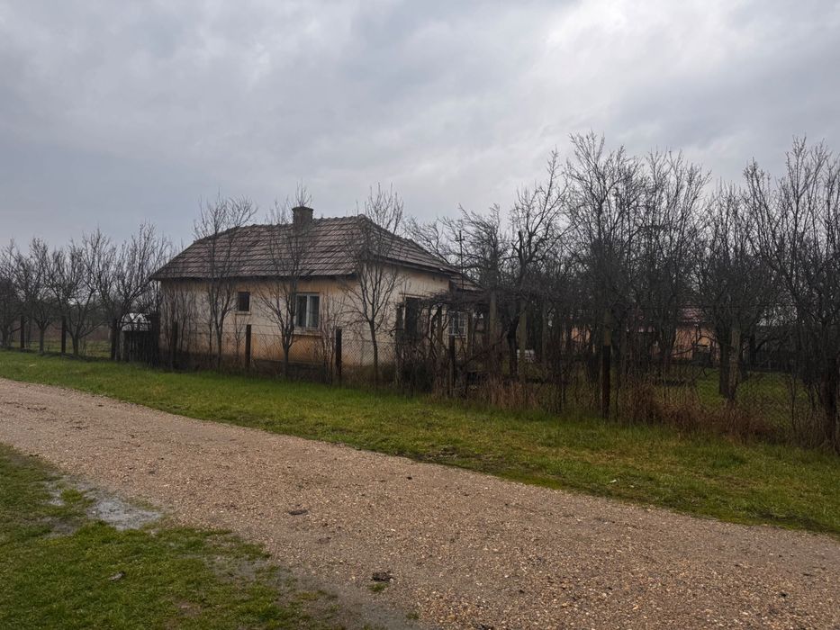 Vând proprietate deosebită, 8 km de Satu Mare – Apateu
