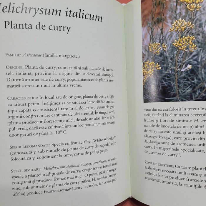 Plante aromatice - Dictionarul Dumont