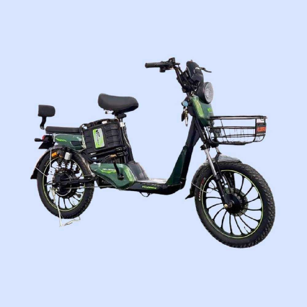 Elektroskuter Cavalo H9
