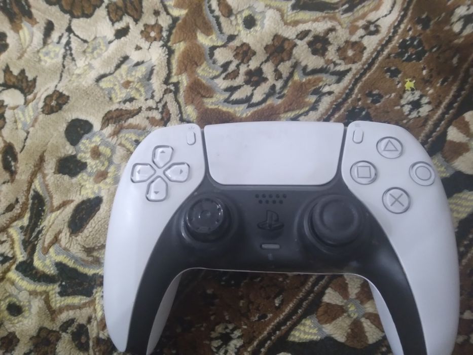 Джостик пс 5 ему 1 год