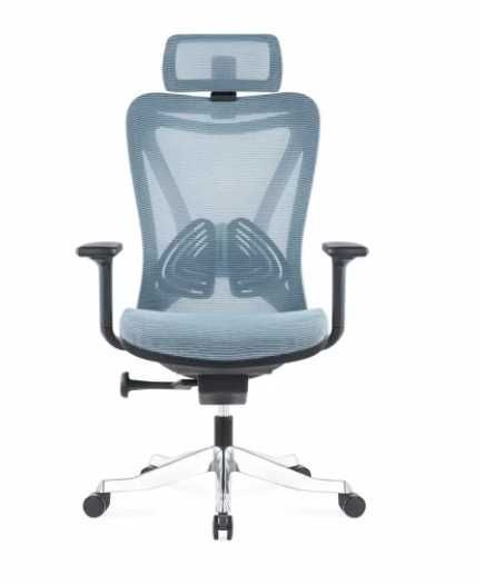 Scaune ergonomice de birou