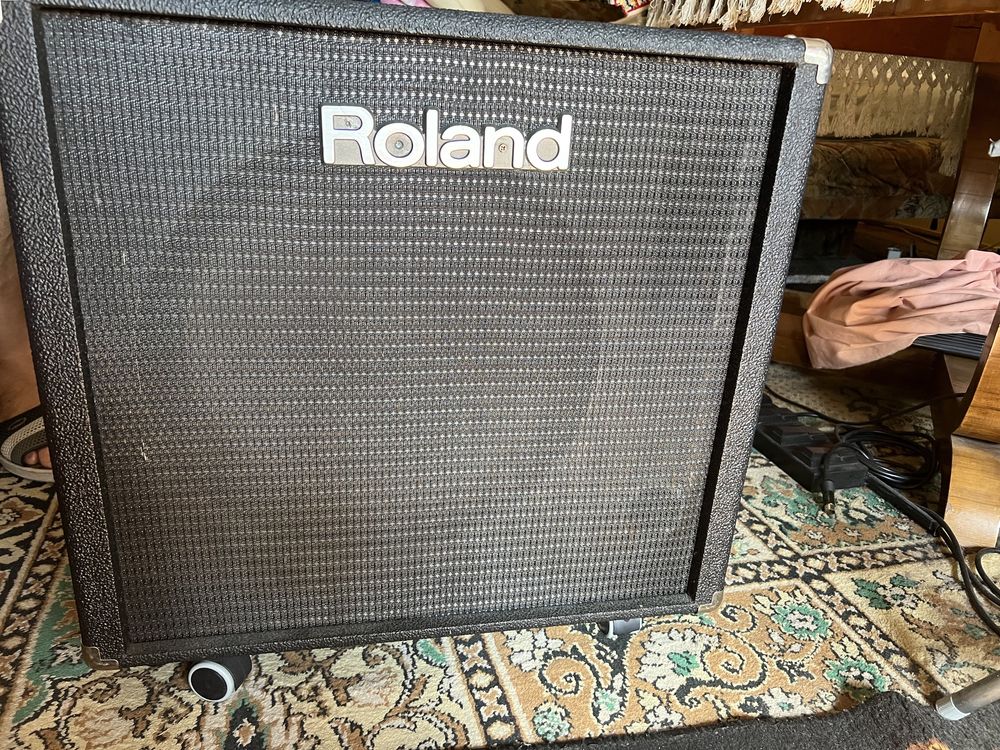 Boxa Roland custom