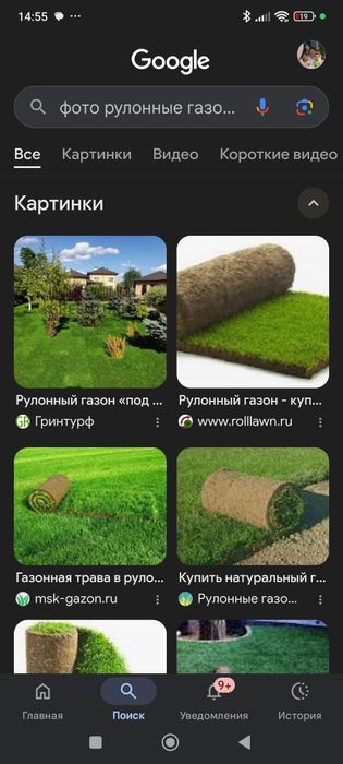 Рулонные газоны качественно