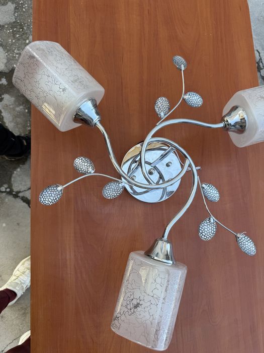 Полюлей и лампиони