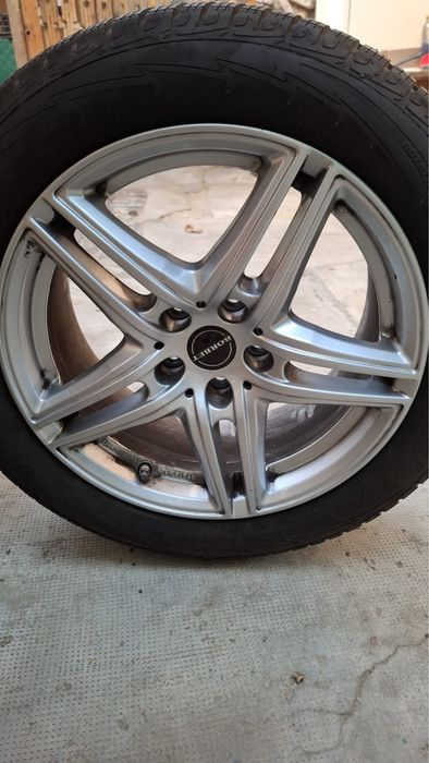 Roti iarna 225/50/17