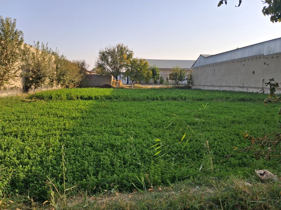 Uchastka uchun yer sotiladi