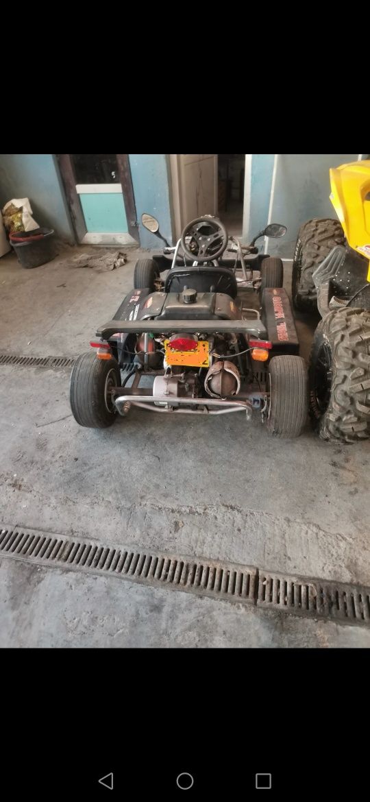 Kart/Cart F100 KREIDLER, benzina
