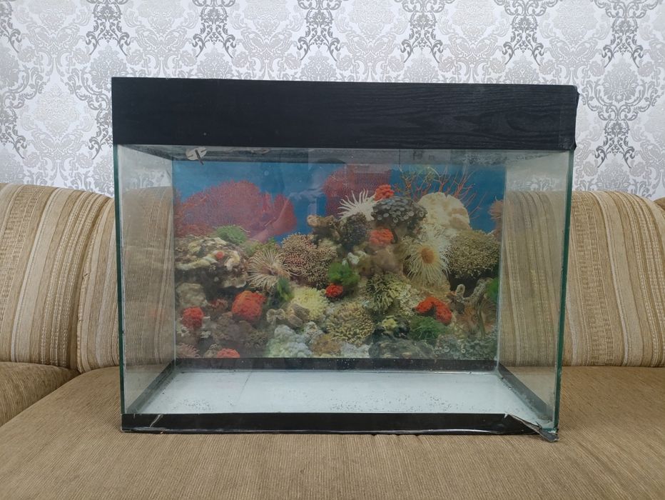 Аквариум на 67 литров