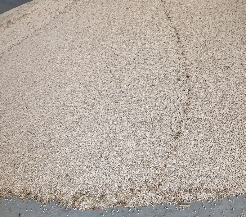 Cereale mazăre mazare