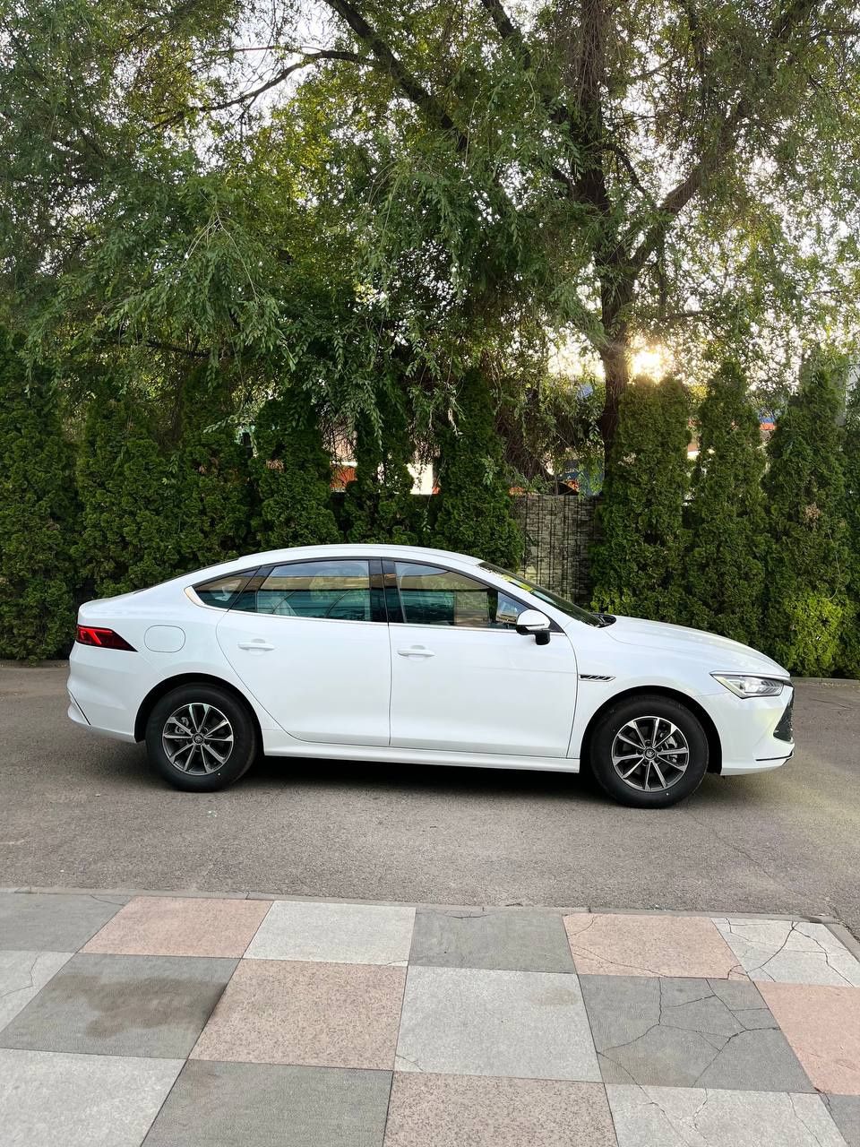 Byd qin plus (без пв)