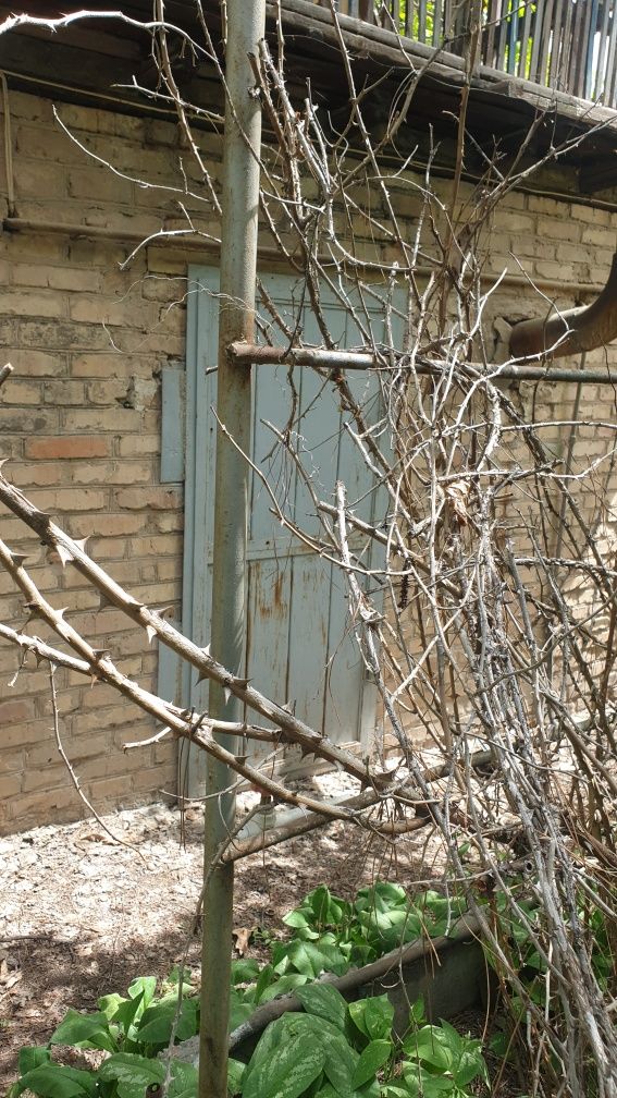 Дача Уртачирчикский район махалля Намданак 4 сотки