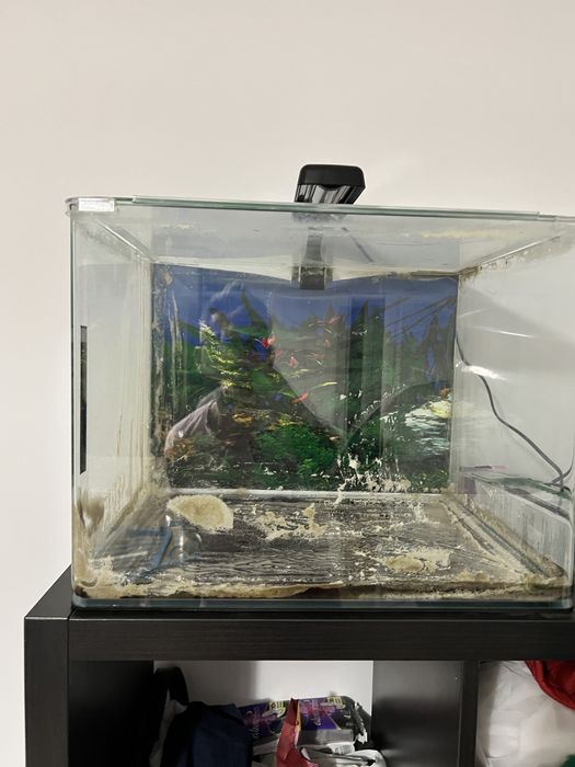 Acvariu dennerle 55l