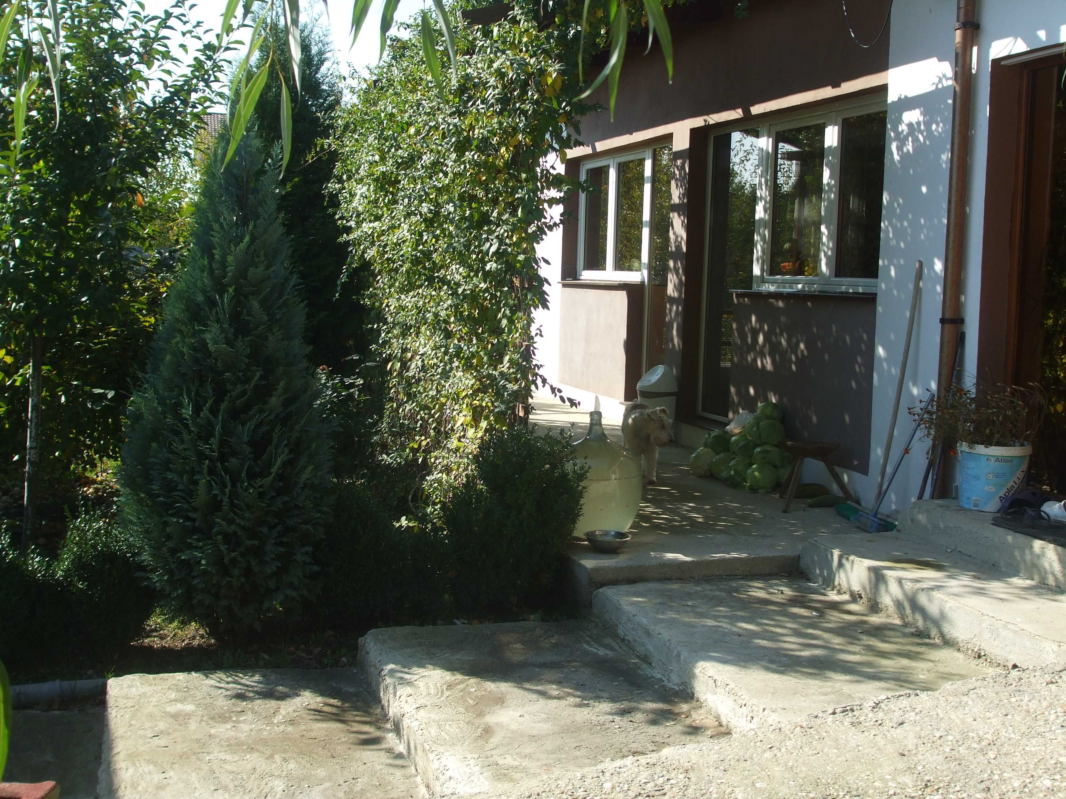 casa tip BUNGALOU