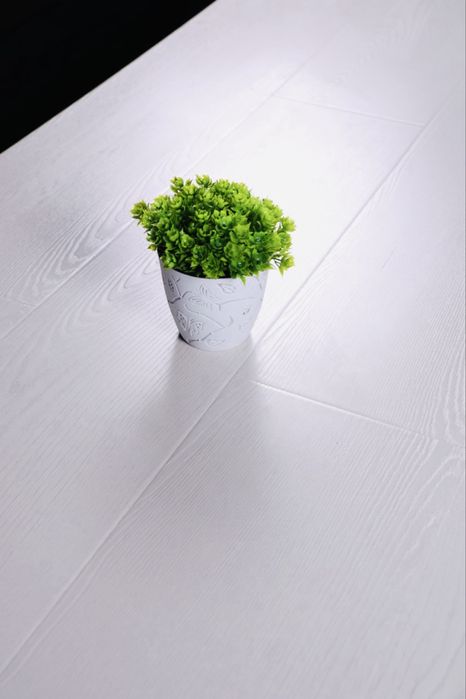 Tarket laminat pol
