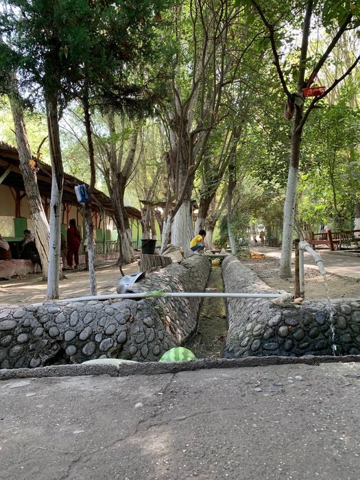 Dacha, dam olish maskani