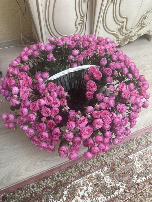 Продам цветы за 50000 тенге