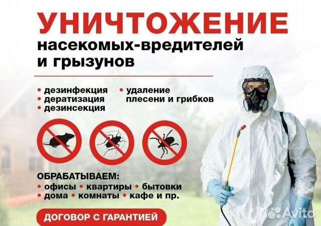 Дезенфекция дизенфекция дезинфекция дизинфекция dizinfeksiya