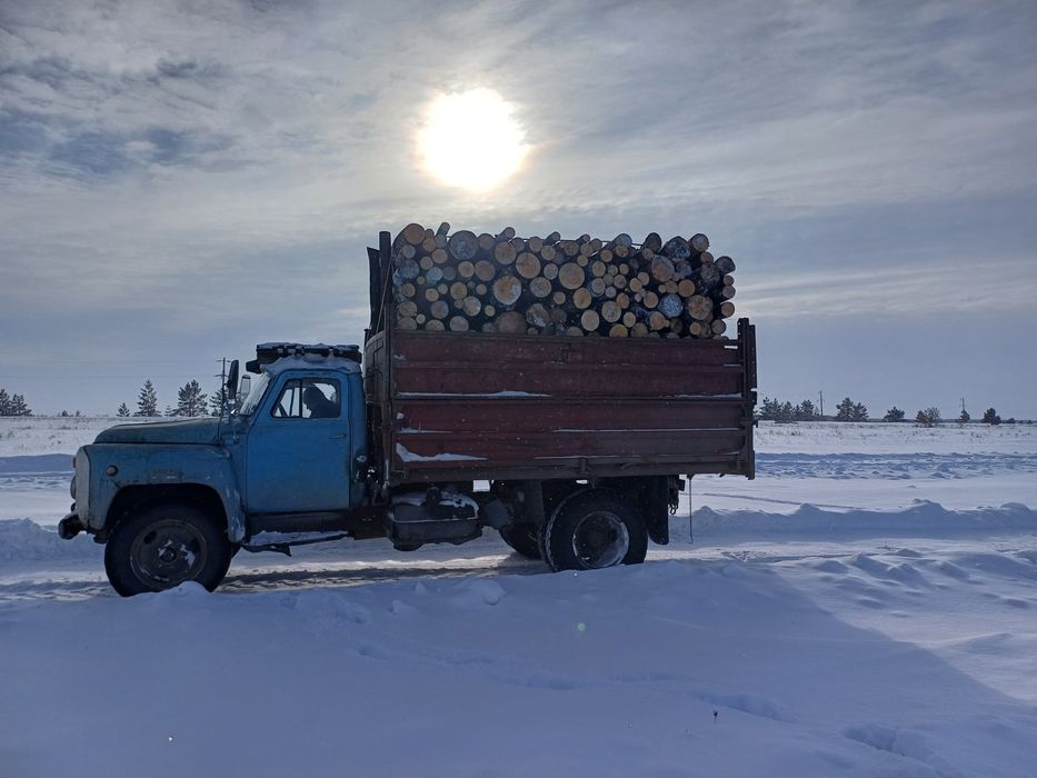 Дрова 2х метровые