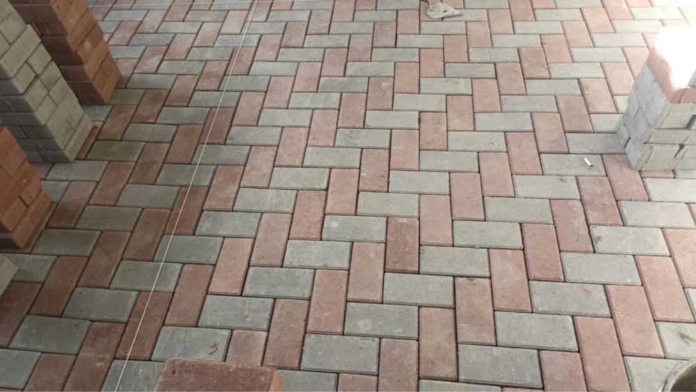 Бурчатка кез келген түрі