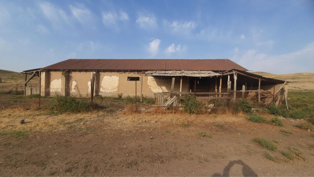 Продается большая ферма