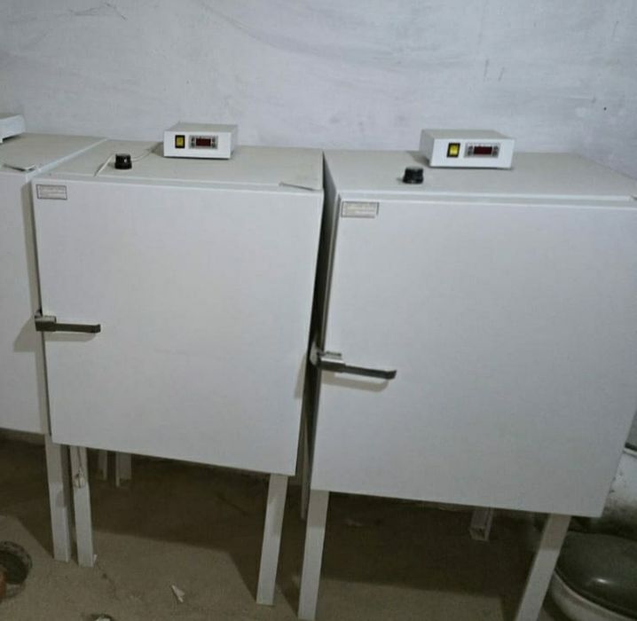 Шкаф сушильный ШС-80